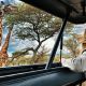 dónde viajar en África según el mes